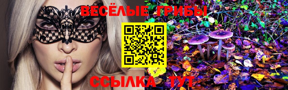 Псилоцибиновые грибы ЛСД  Галлюциногенные грибы ЛСД  Заволжье  Вход с VPN 